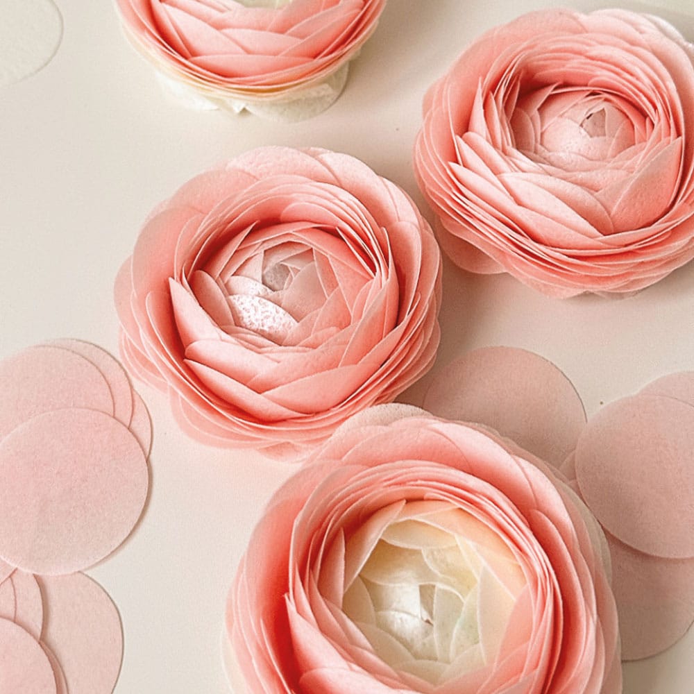 Folhas Hóstia Colorida