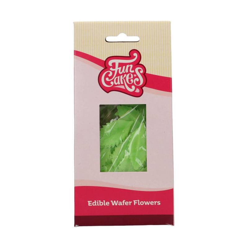 Folhas Verdes em Hóstia - Conj.50
