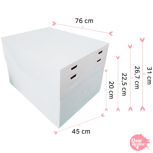Caixa Cartolina Retangular 20 a 30cm de altura