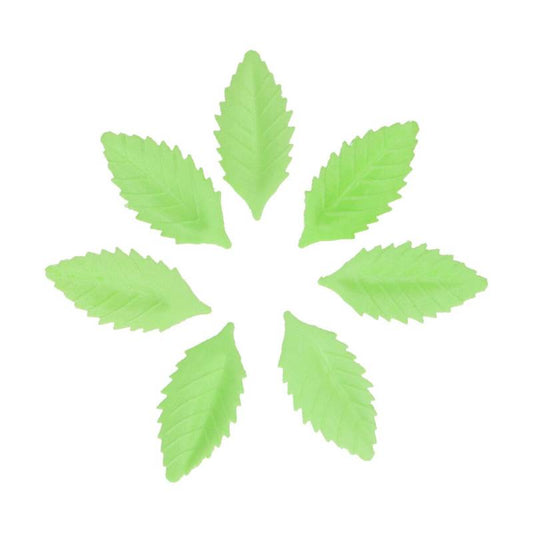 Folhas Verdes em Hóstia - Conj.50