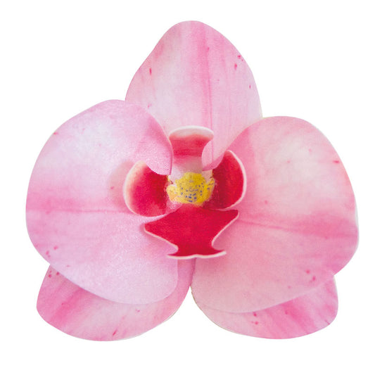 Orquídeas em hóstia rosa conj 10 - Dekora