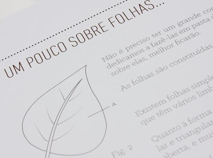 Livro "Açúcar em Flor"