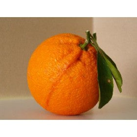 Essência Laranja 20ml